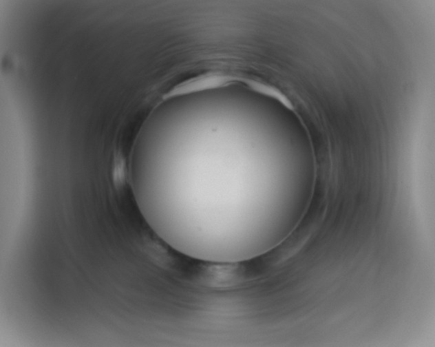 X0000113530089200910021338