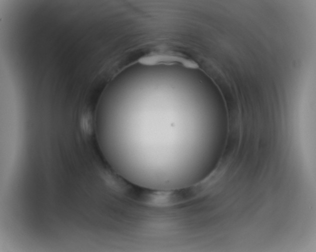 X0000113530090200910021338