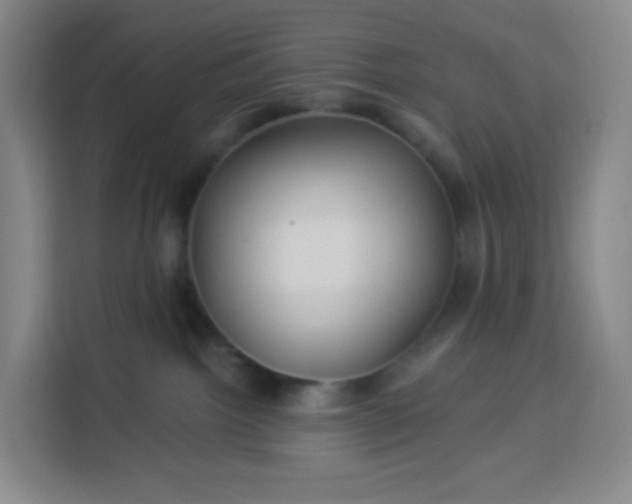 X0000113530092200910021338