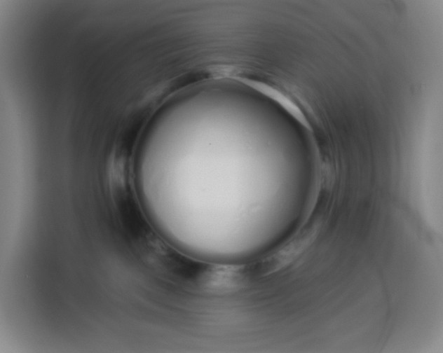 X0000113530093200910021338