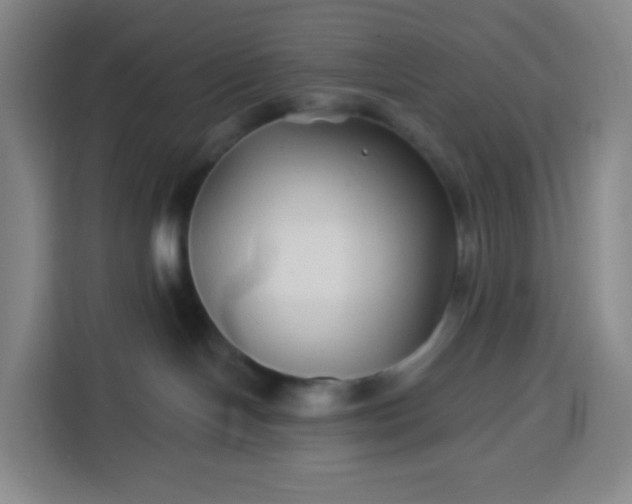 X0000113530094200910021338