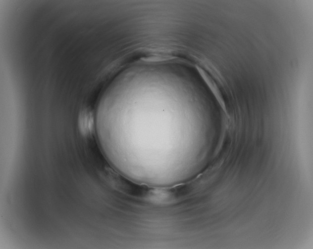 X0000113530095200910021338