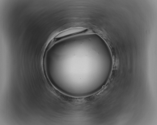 X0000113530099200910021337