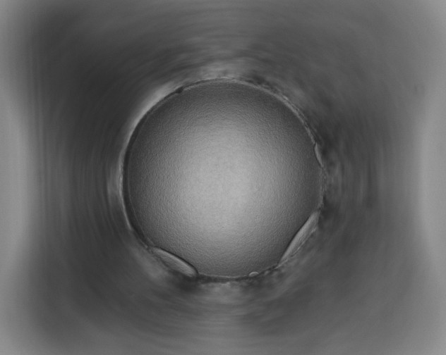 X0000113530100200910021337