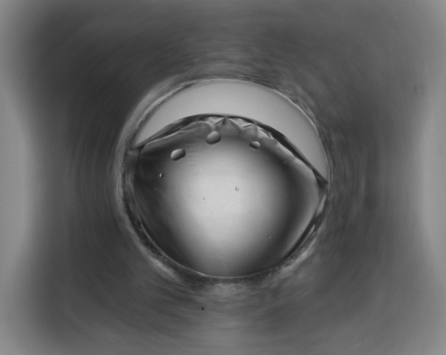 X0000113530101200910021337