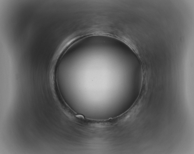 X0000113530103200910021337