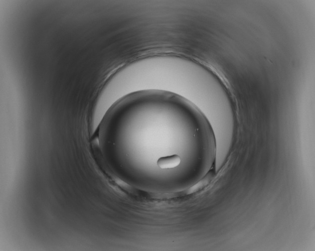 X0000113530105200910021337