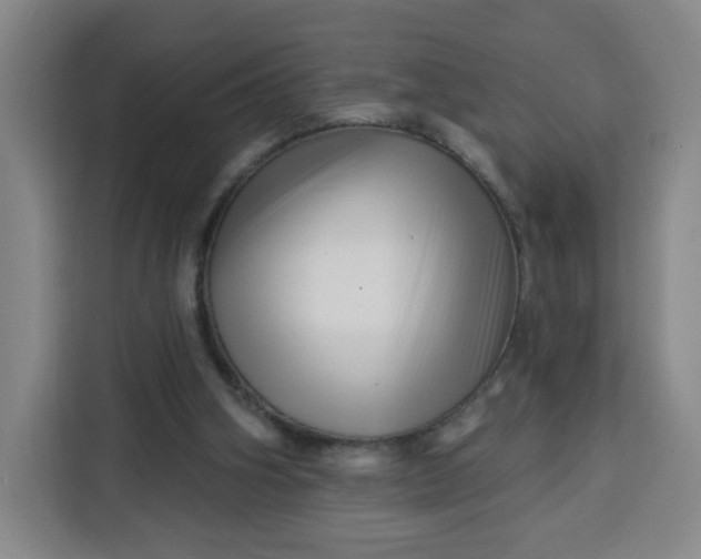 X0000113530106200910021337