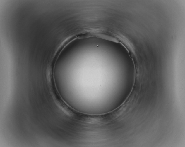 X0000113530107200910021337