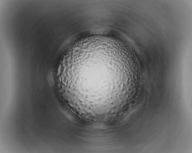 X0000113530114200910021337