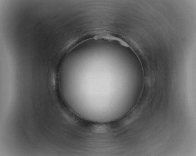 X0000113530115200910021337