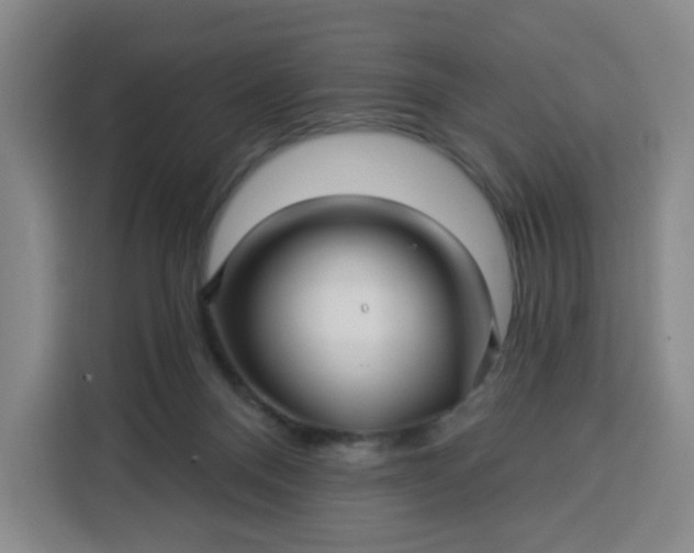 X0000113530120200910021337