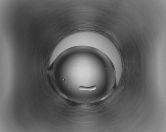 X0000113530121200910021337