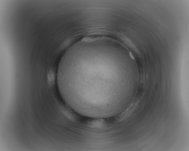 X0000113530124200910021337