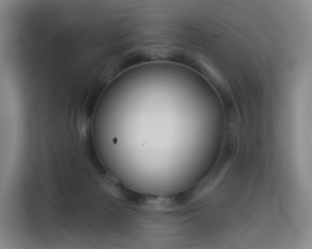 X0000113530125200910021337