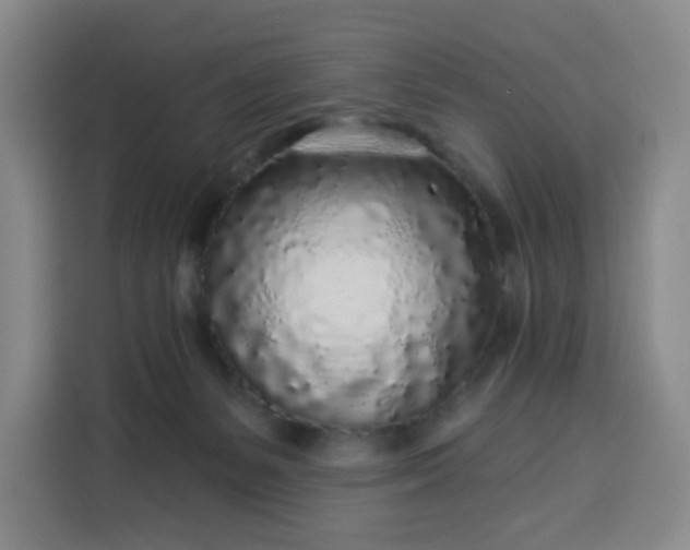 X0000113530127200910021337