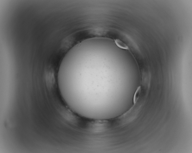 X0000113530128200910021337