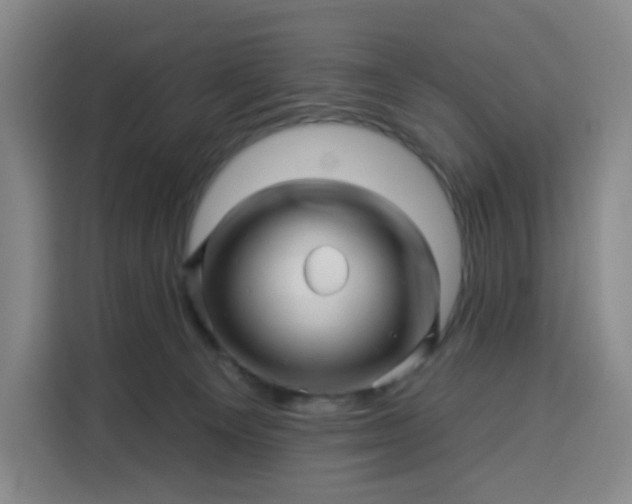 X0000113530129200910021337