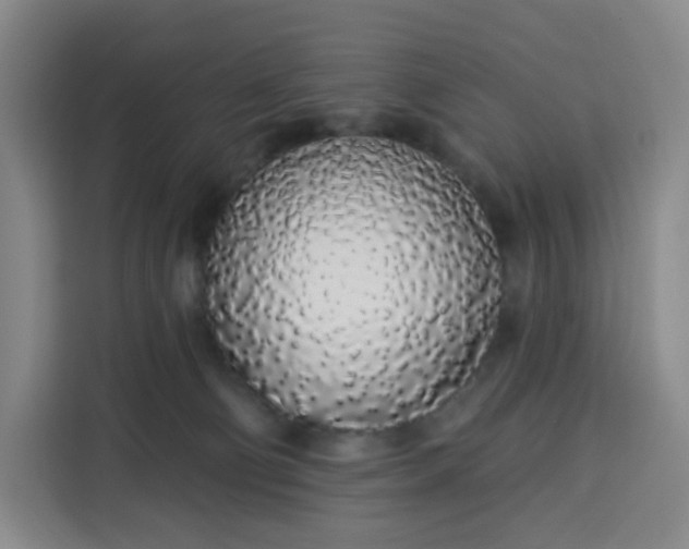 X0000113530130200910021337