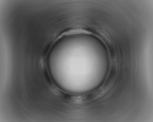 X0000113530131200910021337