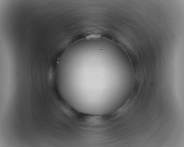 X0000113530132200910021337