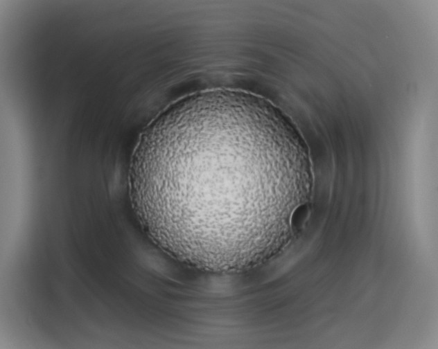 X0000113530134200910021337