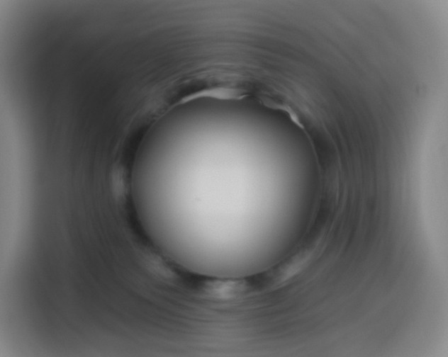 X0000113530135200910021337