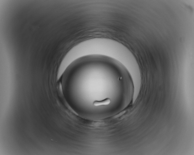 X0000113530137200910021337