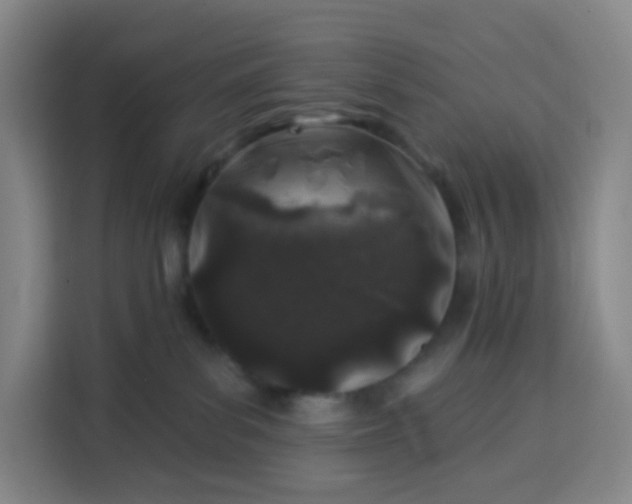 X0000113530139200910021337