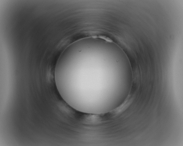 X0000113530140200910021337