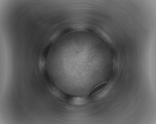 X0000113530141200910021337