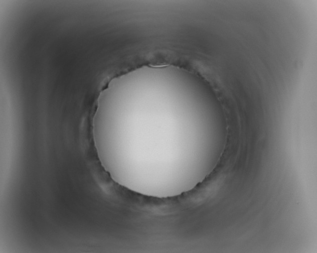 X0000113530144200910021337