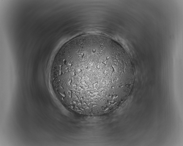 X0000113530145200910021336