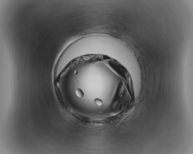 X0000113530148200910021336