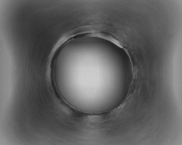 X0000113530150200910021336