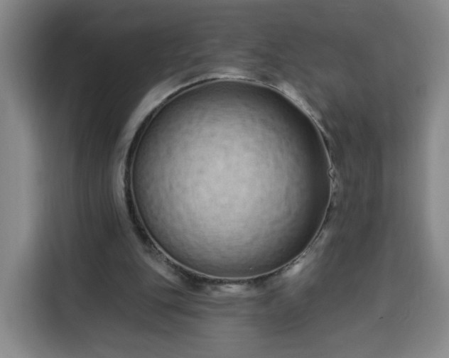 X0000113530151200910021336