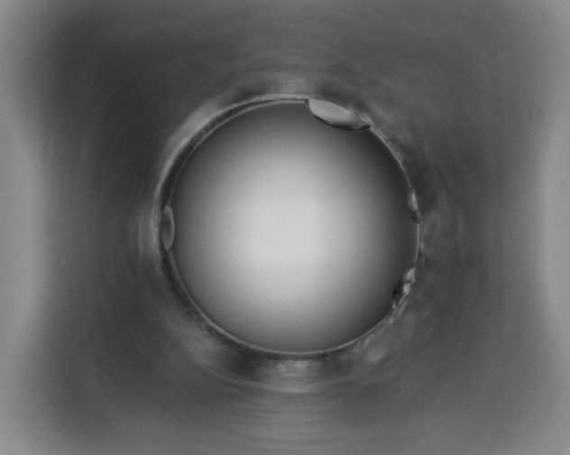 X0000113530152200910021336