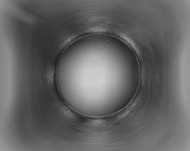 X0000113530153200910021336