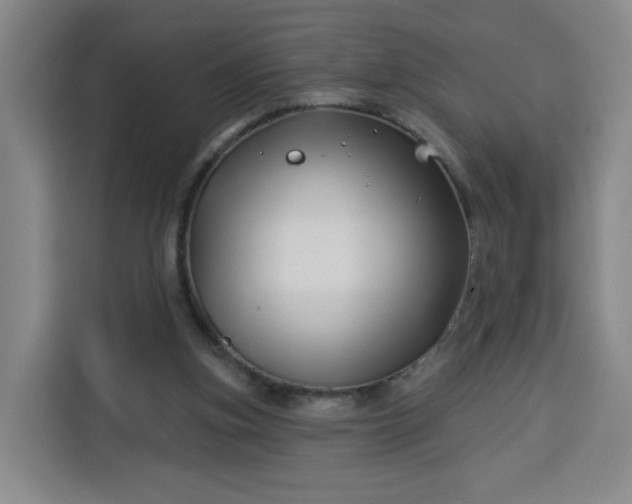 X0000113530155200910021336