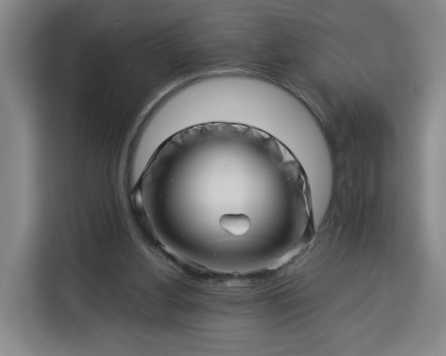 X0000113530156200910021336