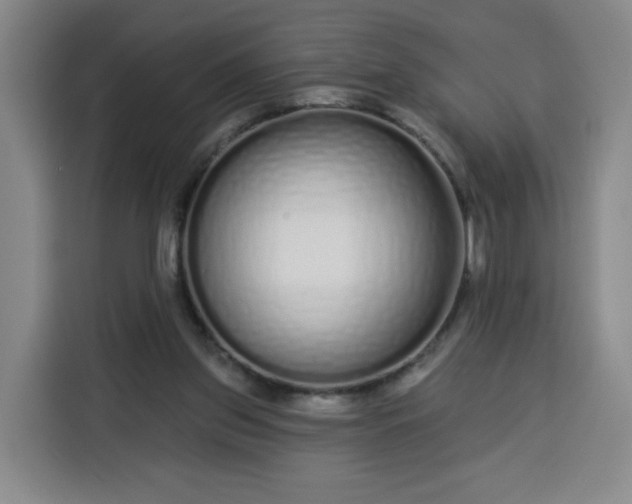 X0000113530157200910021336