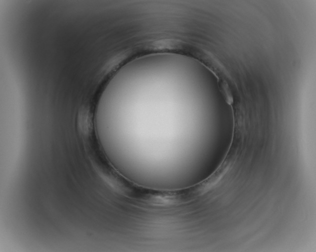 X0000113530164200910021336