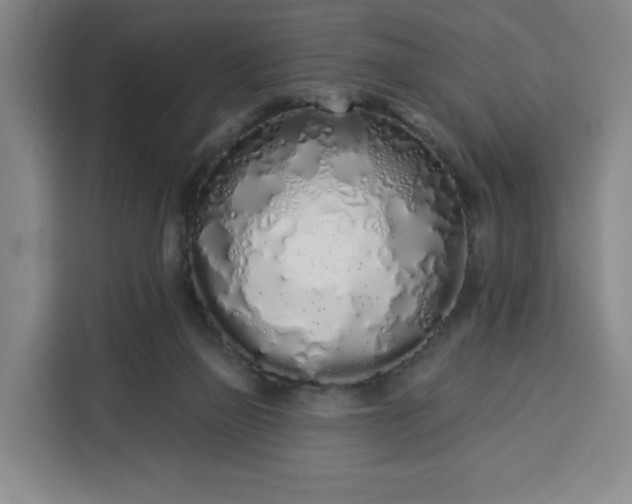 X0000113530165200910021336