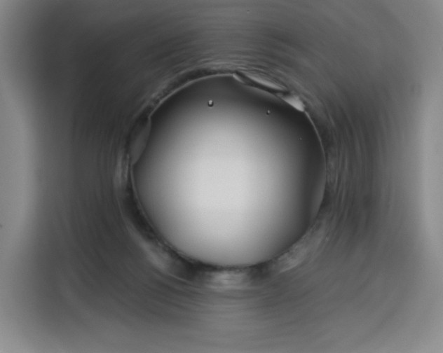 X0000113530168200910021336