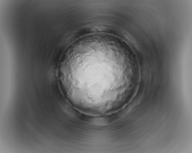 X0000113530169200910021336