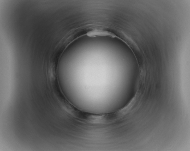 X0000113530170200910021336