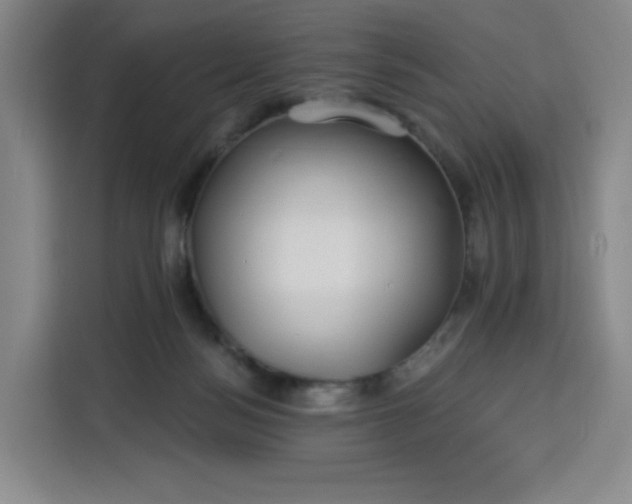 X0000113530172200910021337