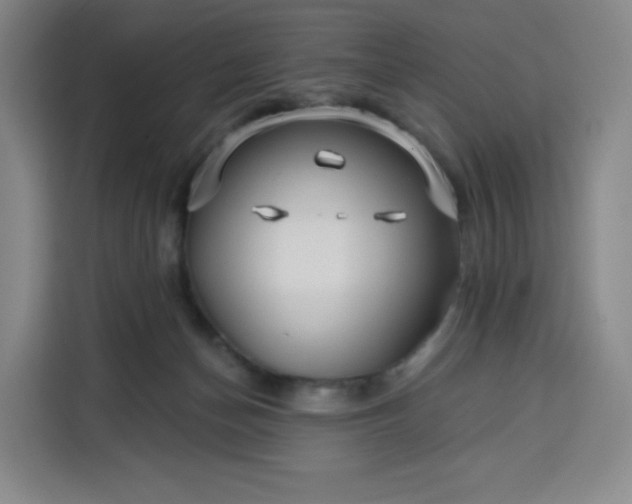 X0000113530174200910021337