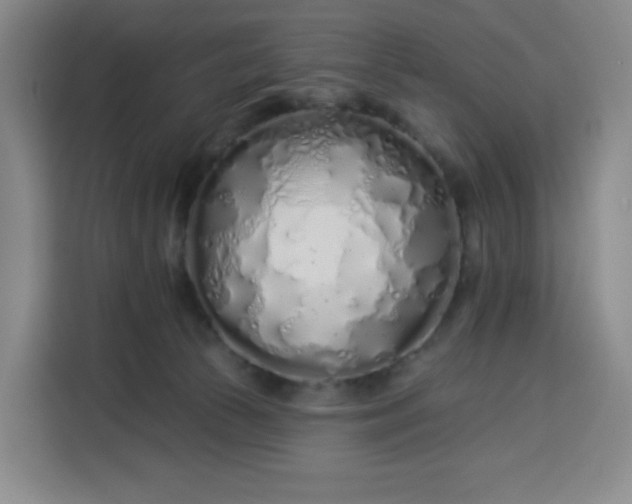 X0000113530177200910021337