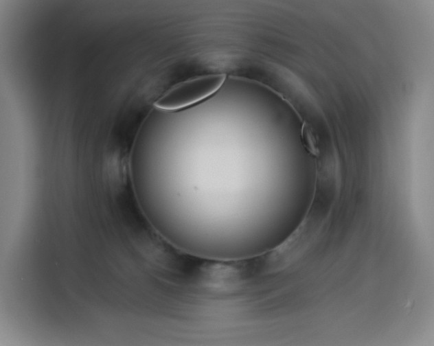 X0000113530180200910021337